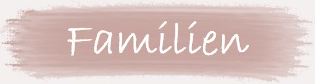 Familien und Kinder Fotografie